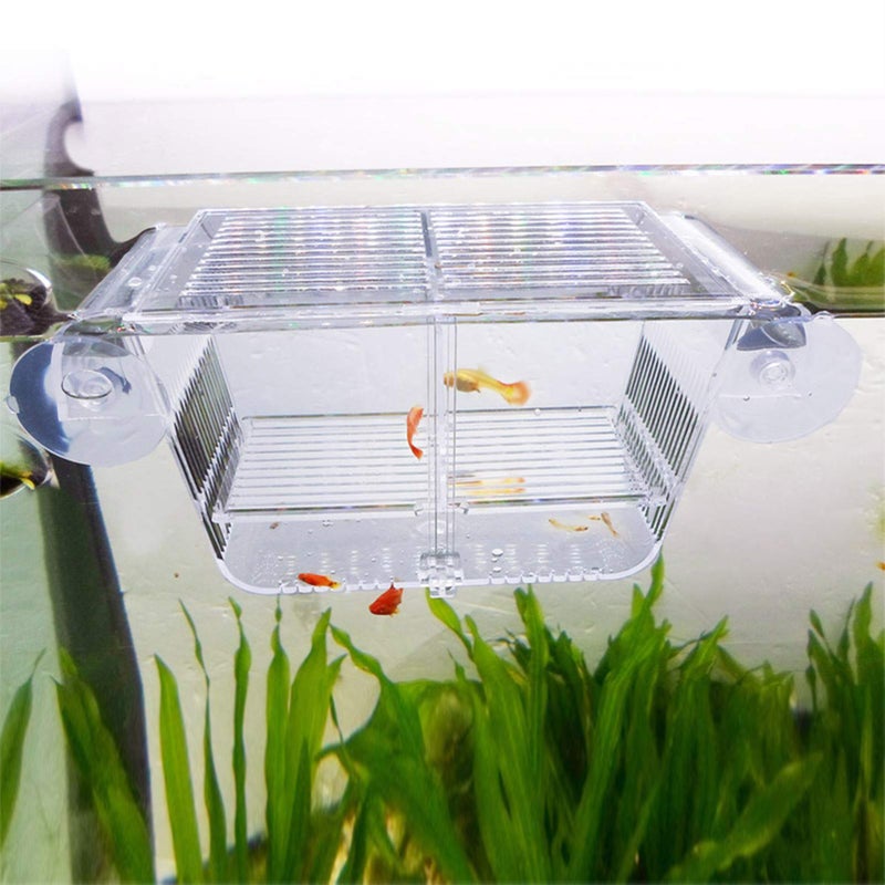 capetsma Fish Breeding Box, Acrylic Fish Isolation Box with Suction Cups, Aquarium Acclimation Hatchery Incubator for Baby Fishes Shrimp Clownfish and Guppy... Small Size (S) - Image 1